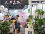 走進植物，享受美好——花點園藝亮相第十二屆杭州文博會