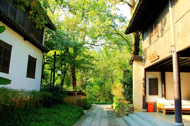 15354274881308638D0E.jpg QQ圖片20180828113108.jpg