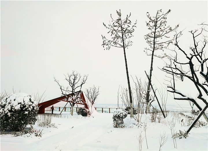 張俊捷-5.一點紅銹 2017-12-23  白紙黑墨再配上一筆暖色，構成了一幅有韻味的畫面。耐候鋼與油松的高矮對比，奠定了畫面的平衡。.jpg